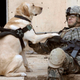 Illustration for article titled The Loyal Dogs Who Served Alongside Human Soldiers In War